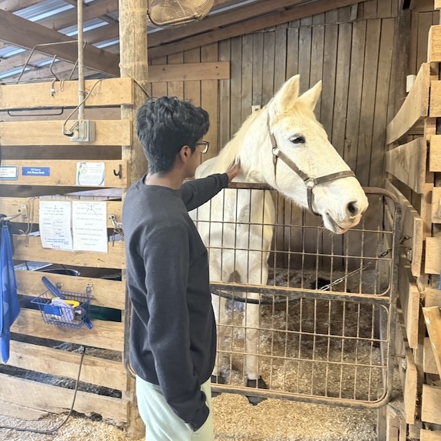 At special equestrian pic2