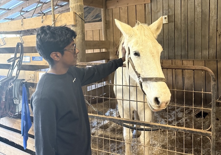 with the giant Tess, the horse