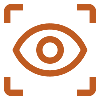 vision icon
